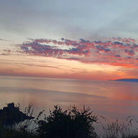 Hotel Villa Principe San Nicola Arcella Kültér fotó